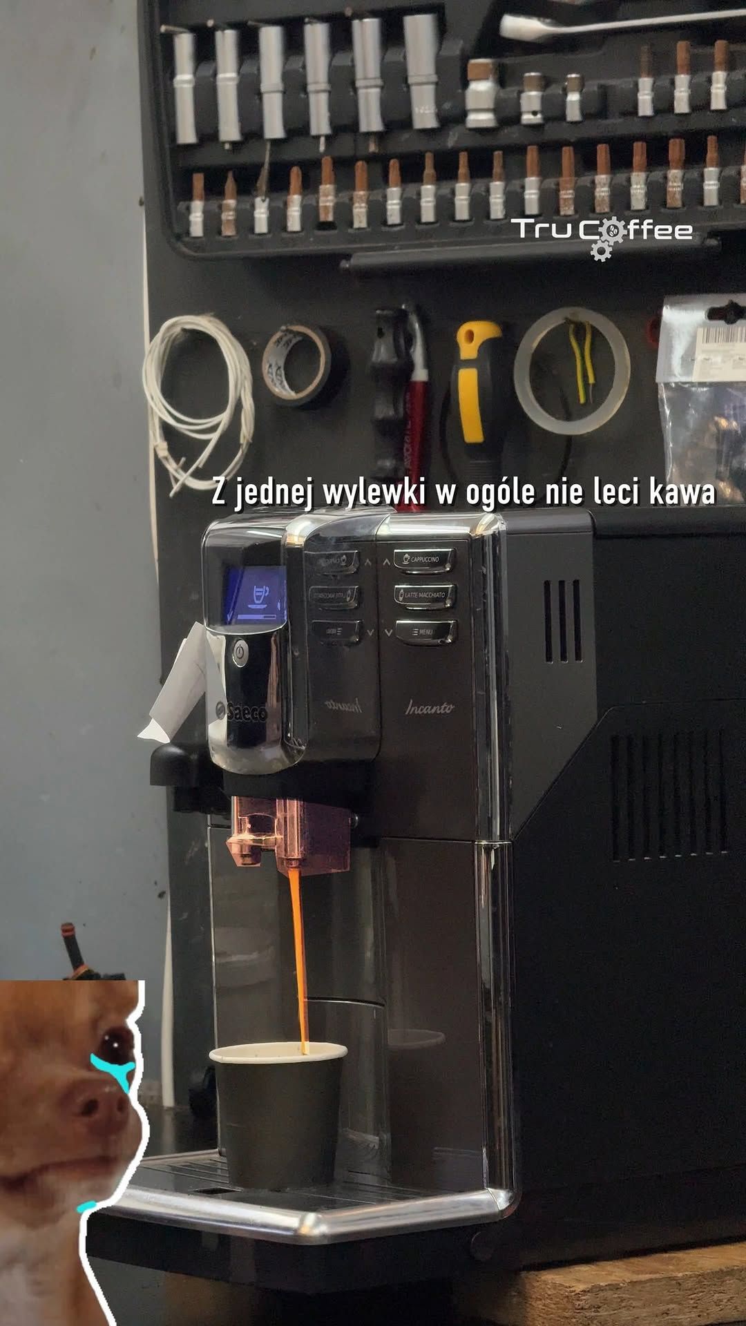☕ Słaby przepływ kawy z wylewki?

To jeden z najczęstszych problemów w ekspresach do kawy. Zatkane w