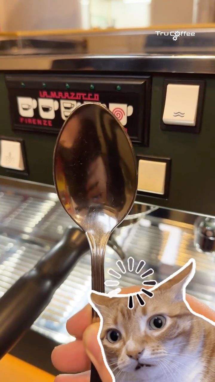 ☕ Jak zaczyna się Twój poranek?

U nas odpowiedź jest prosta – od dobrej kawy 😄
A u Ciebie? Espress